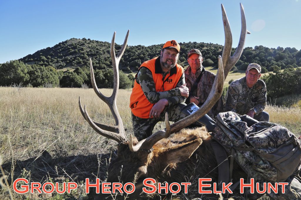 Hunting Elks Across the Year