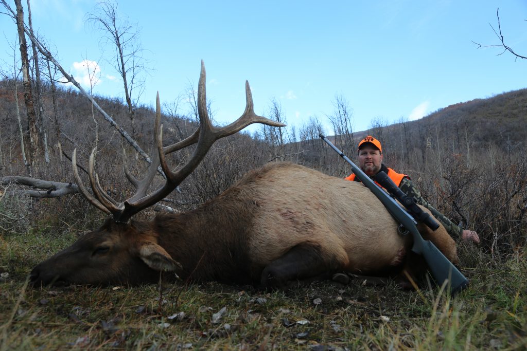 Rocky Mountain Elk Hunting Wyoming