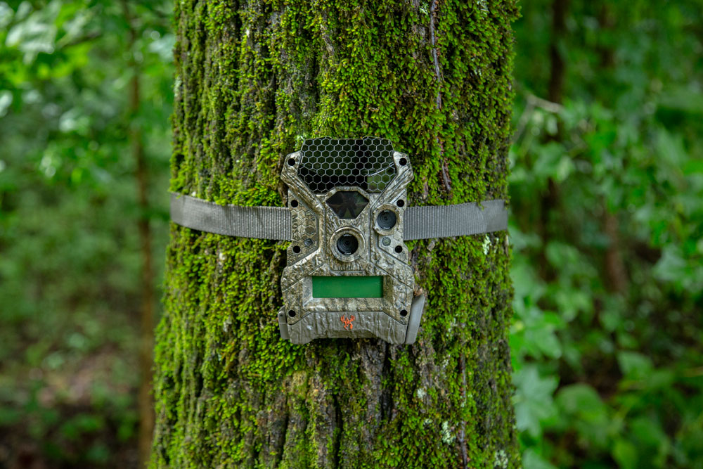 Latin Webcam Girl Gets Fucked - Utah DWR Proposing Ban On Trail Cams - Hunting, Fishing and Outdoor  Information | FarWide